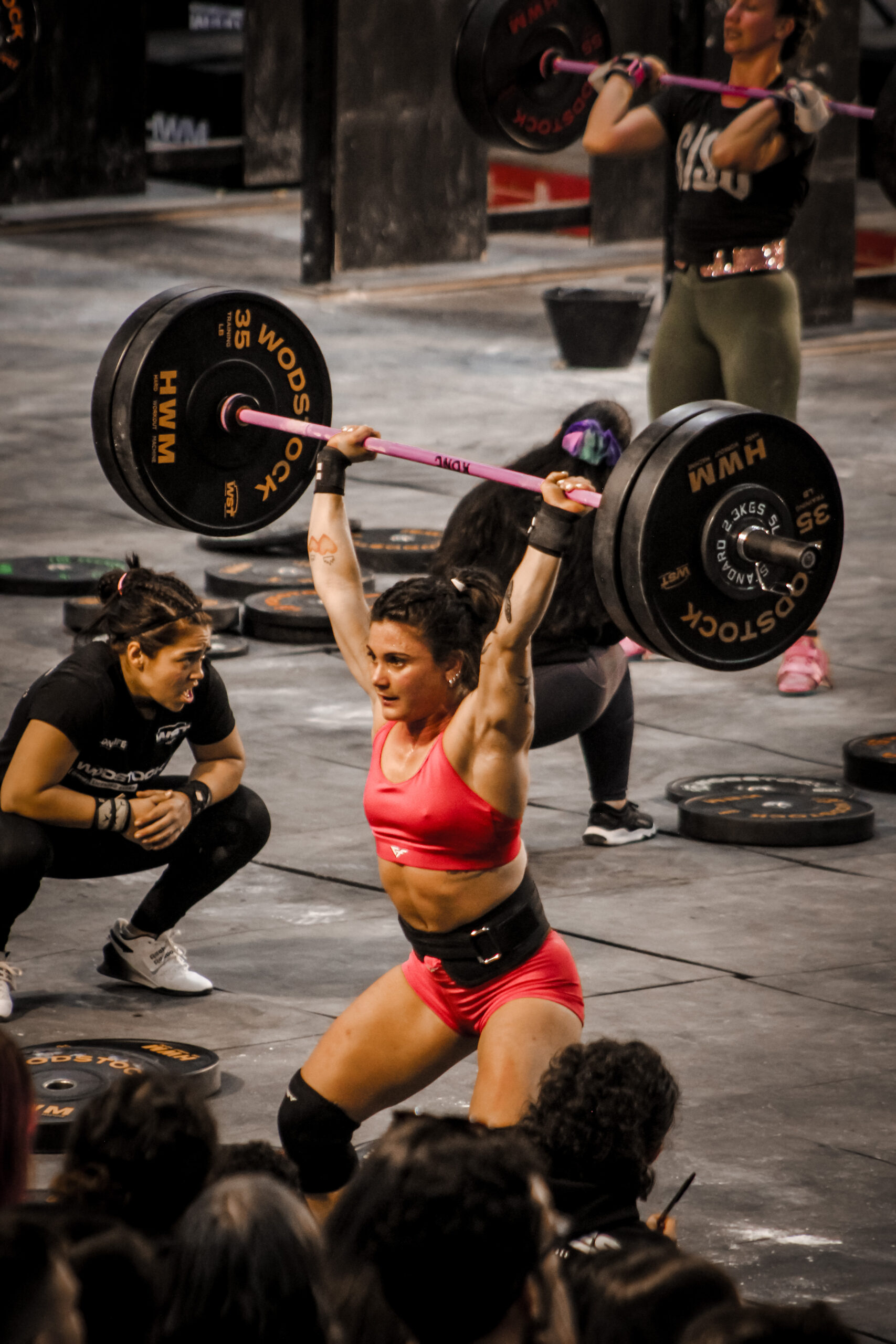 Barbara caravello Wodstock